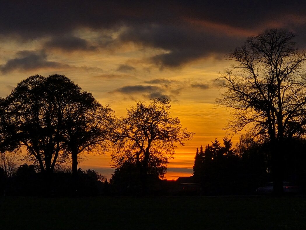 Weite Wüste mit Spur im Sand