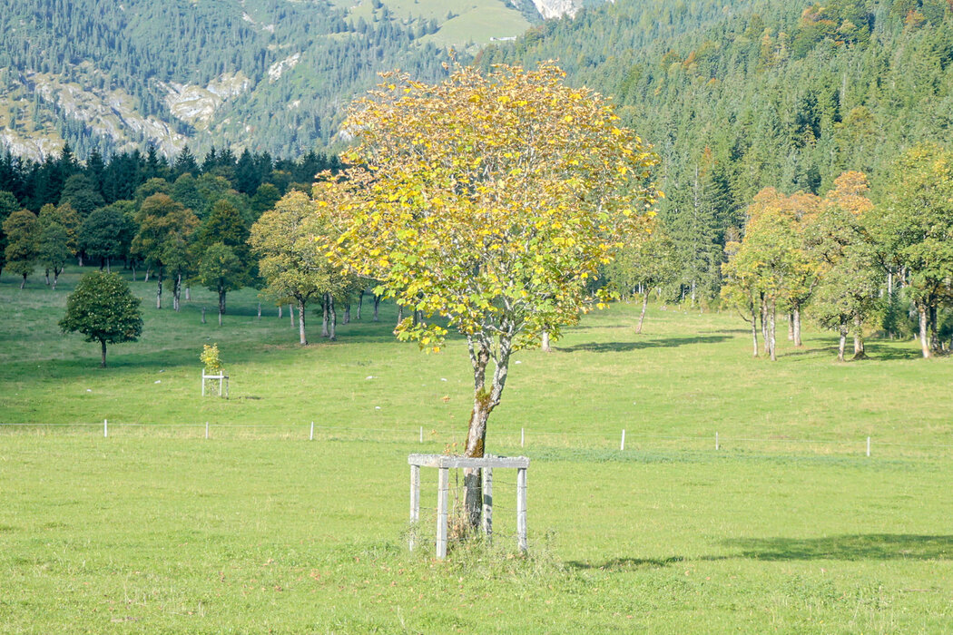 Weite Wüste mit Spur im Sand